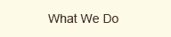 What We Do